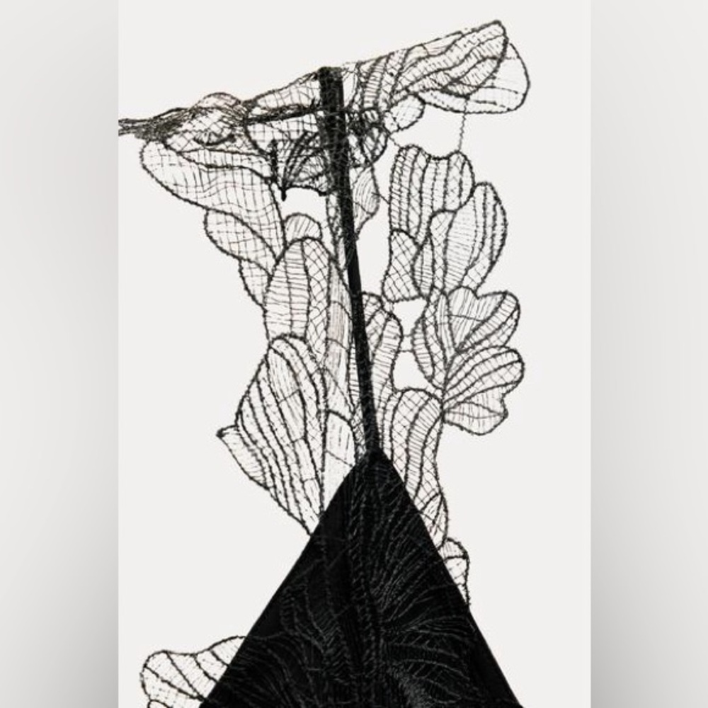 ZARA LACE LINGERIE STYLE DRESS ZW COLLECTION - Picture 8 of 13